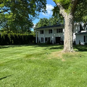 yard care by Aces property services reviewed on August 16, 2025