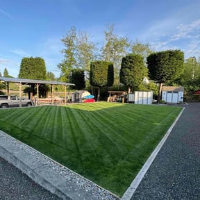 yard care by Marty's L.L.h reviewed on November 20, 2025