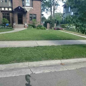 lawn maintenance by GB&#039;s Lawn Services reviewed on August 3, 2024