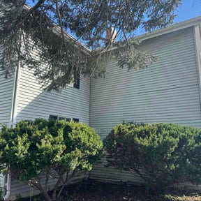 Flower Bed Weeding by RLG lawn services reviewed on November 8, 2025