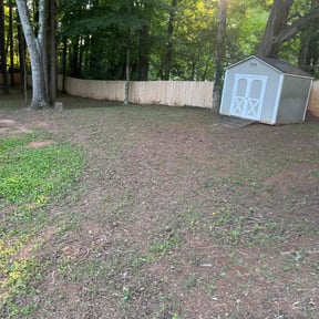 Leaf Removal by Torres Transformations reviewed on September 6, 2025