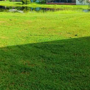 grass maintenance by EOW 618 lawn care reviewed on June 12, 2025