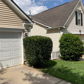 Bush Trimming by Loyal Landscaping reviewed on August 19, 2025