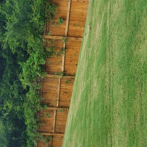 Bush Trimming by Chris Wimler reviewed on August 19, 2025