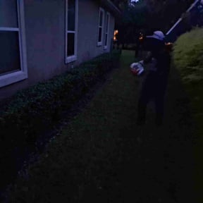 Leaf Removal by Green Sun, Inc. reviewed on November 20, 2024