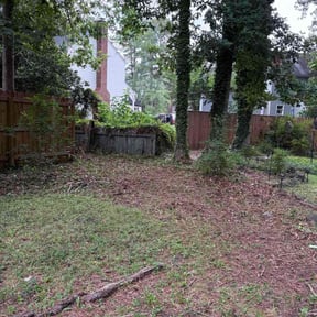 Bush Trimming by Picture perfect lawn care N Property specialists  reviewed on November 19, 2025