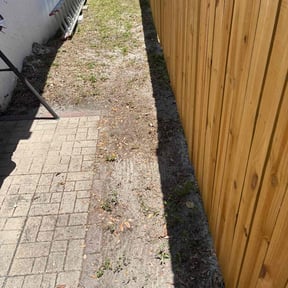 Leaf Removal by Detailed Xterior&#039;s of Tulsa (DXT) reviewed on September 19, 2025