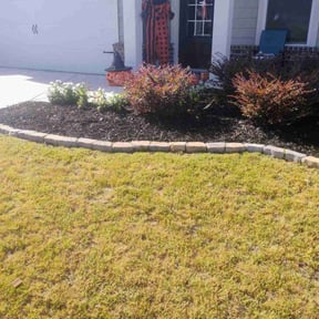 Mulching by Hurricane effects reviewed on November 23, 2025