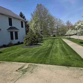 landscape maintenance by Mueller Lawncare, Inc. reviewed on August 19, 2025