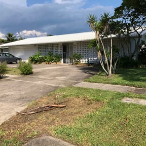 Leaf Removal by Dad's lawn care reviewed on July 24, 2025