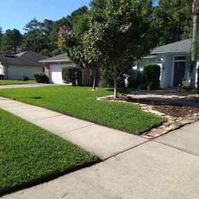 grass cutting by Family Lawn Care reviewed on August 19, 2025