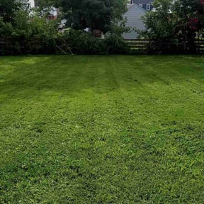 turf maintenance by Live in Peace Lawn Care Service reviewed on May 11, 2025