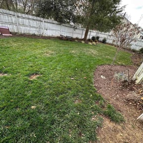 Leaf Removal by Sharp Edge Lawn care reviewed on November 30, 2025