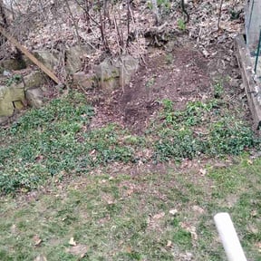 Leaf Removal by Yardcraft Solutions reviewed on May 28, 2026