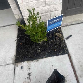 Flower Bed Weeding by Lavish Lawns reviewed on October 21, 2025