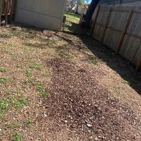 Leaf Removal by Rodney 's lawncare reviewed on August 17, 2026