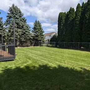 grass maintenance by Charlie&#039;s property maintenance, llc reviewed on August 1, 2025