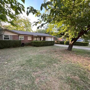 Bush Trimming by Landon Tipton reviewed on October 20, 2025