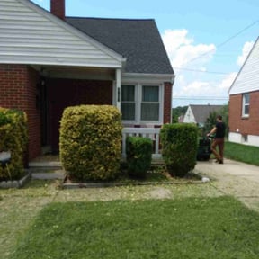Bush Trimming by Team Bard Lawn Care SVC reviewed on August 19, 2025