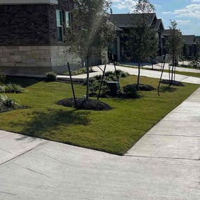 Landscaping by Lake Area Lawn Care reviewed on August 16, 2025