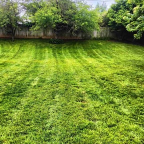 lawn care by Chucks Cutz LLC reviewed on April 26, 2024