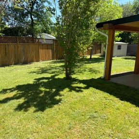 yard maintenance by Trevor Hall reviewed on August 19, 2025