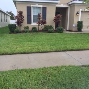Bush Trimming by City Living LLC reviewed on August 20, 2025