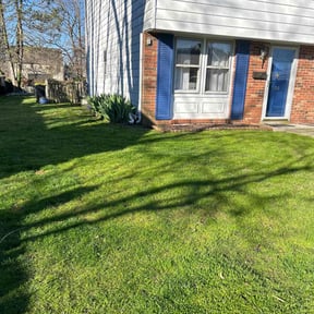 lawn maintenance by Tulsa Lawn Care reviewed on April 18, 2024