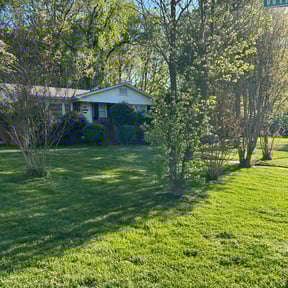 yard maintenance by El Jardin De Pedro reviewed on November 18, 2025