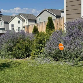 Bush Trimming by Affordable Landscaping reviewed on May 4, 2024
