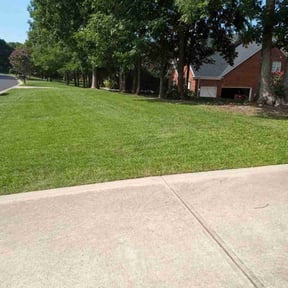 yard maintenance by Stream Scene Landscaping reviewed on November 20, 2025