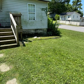 Bush Trimming by Nichols Lawn & Landscaping reviewed on August 16, 2025