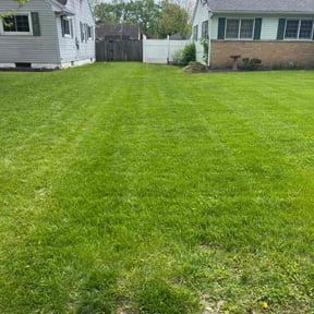landscaping services by Perfect Touch Lawn &amp; Landscaping reviewed on November 18, 2025