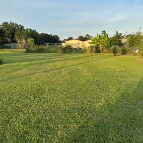 Bush Trimming by Rescue Me Lawn Care, LLC reviewed on July 27, 2026