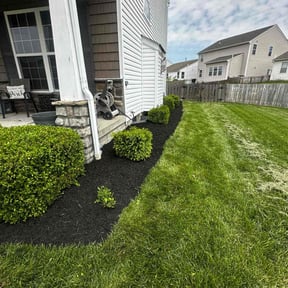 Landscaping by Buckeye Lawn Care Management, LLC reviewed on November 24, 2025