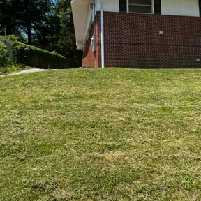 Flower Bed Weeding by One Off Mowing reviewed on June 5, 2026