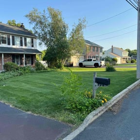 landscape maintenance by Ines lawnscaping reviewed on August 21, 2025