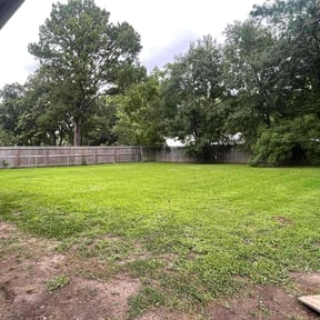 lawn care by Lanie's Lawncare Services reviewed on September 15, 2024