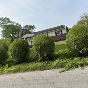 Bush Trimming by 2 ladies mowing reviewed on April 30, 2026