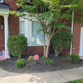 Bush Trimming by JD's Green stride solutions reviewed on August 15, 2025