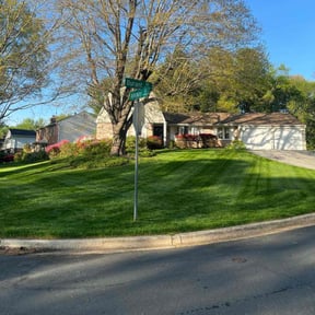 yard work by All your needs lawn care reviewed on August 21, 2025