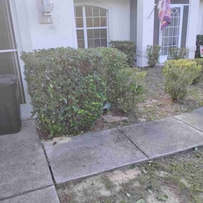 Bush Trimming by Grass guys reviewed on November 9, 2025