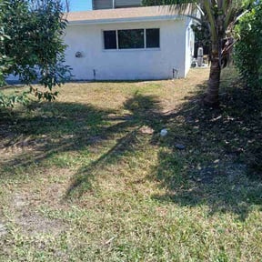 Leaf Removal by Edge Lawn Service reviewed on April 8, 2026
