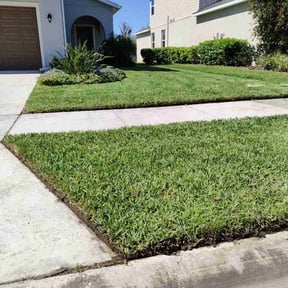 yard maintenance by Adan's Hauling reviewed on January 25, 2024