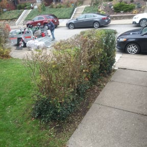 Bush Trimming by D&D Landscaping reviewed on August 17, 2025