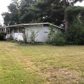 Bush Trimming by Jessie reviewed on November 24, 2025