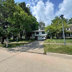 gardening service by Thick Green Lawn Care reviewed on April 17, 2025