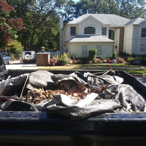 Leaf Removal by Lawn Guy reviewed on September 19, 2025