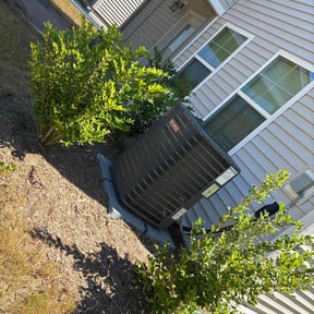 Bush Trimming by W. D. Giampa Lawn &amp; Landscapes, INC. reviewed on November 24, 2025