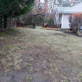 Leaf Removal by Hometeam Property Management reviewed on November 21, 2025